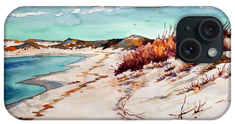 #water #beach #sawgrass #winter #capehenlopen #delawarebeaches #delawarestateparks #landscape iPhone Case featuring the painting Winter Sands by Mick Williams