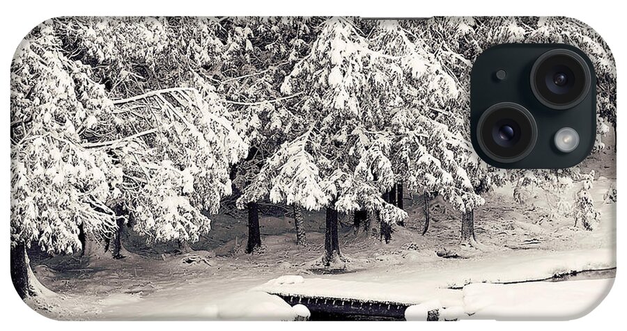 Winter Scenic Print iPhone Case featuring the photograph Winter Scene Black and White Print by Gwen Gibson