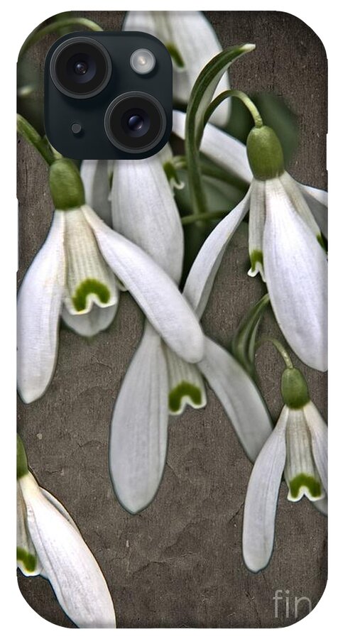 Snowdrop iPhone Case featuring the photograph Winter Snowdrop Canvas by Martyn Arnold