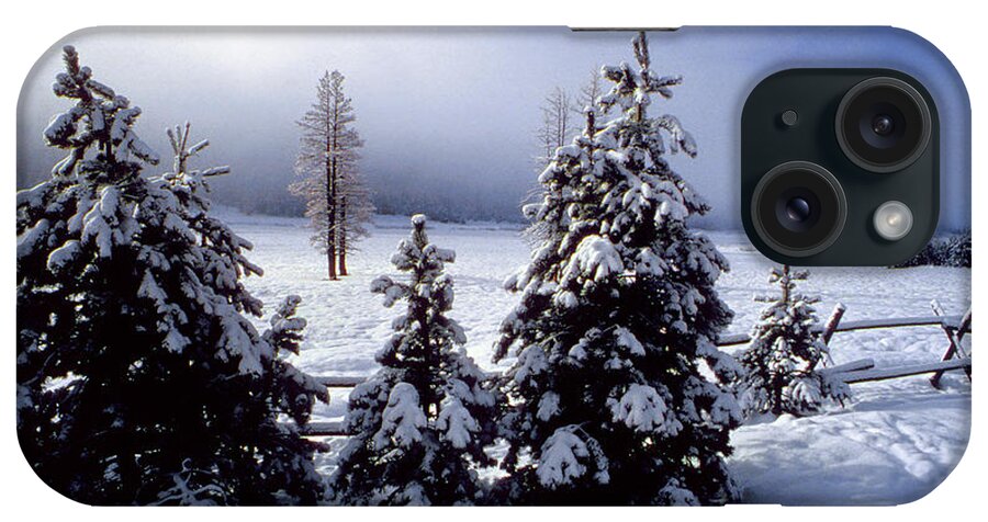The Walkers iPhone Case featuring the photograph Winter Takes All by The Walkers