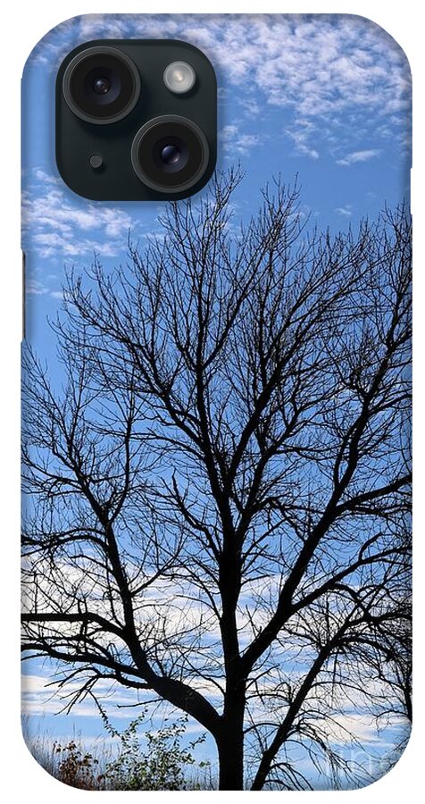 Trees iPhone Case featuring the photograph Winter tree and Blue sky by Yumi Johnson