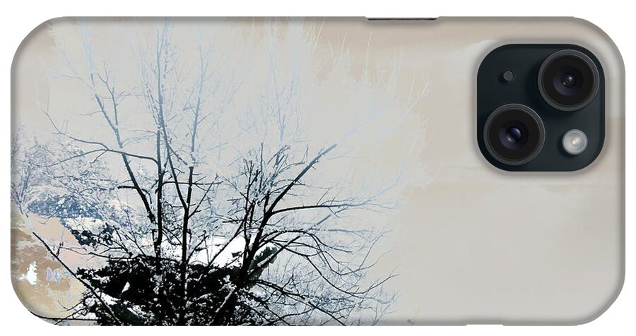 Tree iPhone Case featuring the photograph Winter Tree on Mountain Bluff by Frank Bright