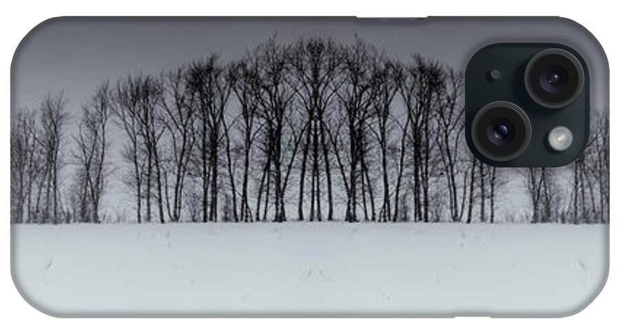 Snow iPhone Case featuring the photograph Winter Tree Symmetry Long Horizontal by John Williams