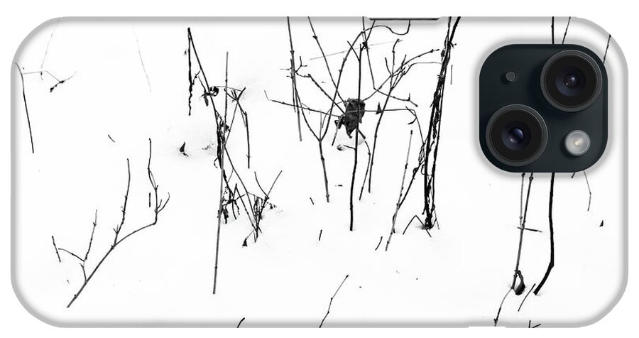 Twig iPhone Case featuring the photograph Winter Twigs 2 High Contrast by Mary Bedy