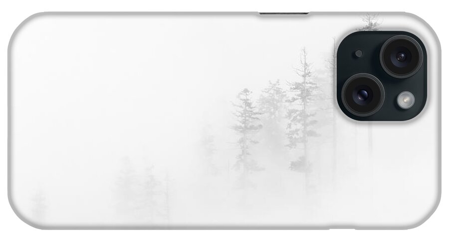 Winter iPhone Case featuring the photograph Winter Veil by Michael Dawson