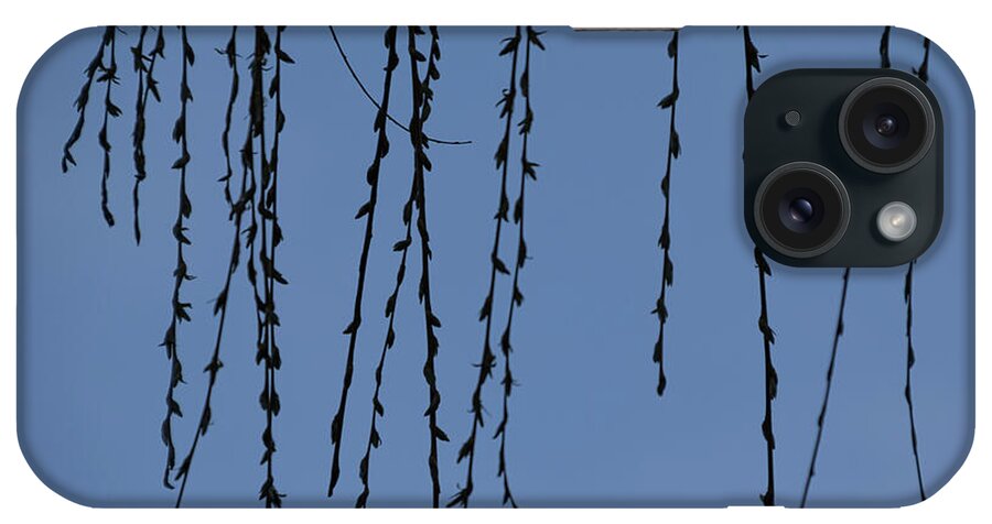 Silhouette iPhone Case featuring the photograph Wisp - by Julie Weber