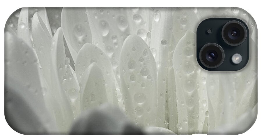 Daisy Petals iPhone Case featuring the photograph Within by Mike Eingle