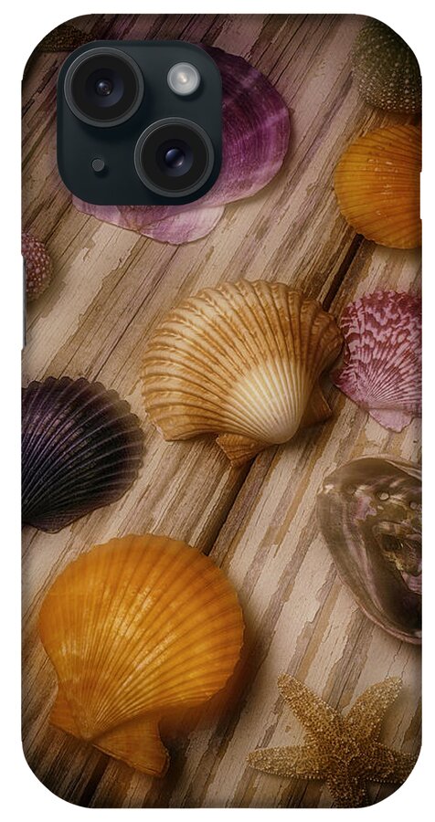 Colorful Shell iPhone Case featuring the photograph Wonderful Shell Still Life by Garry Gay
