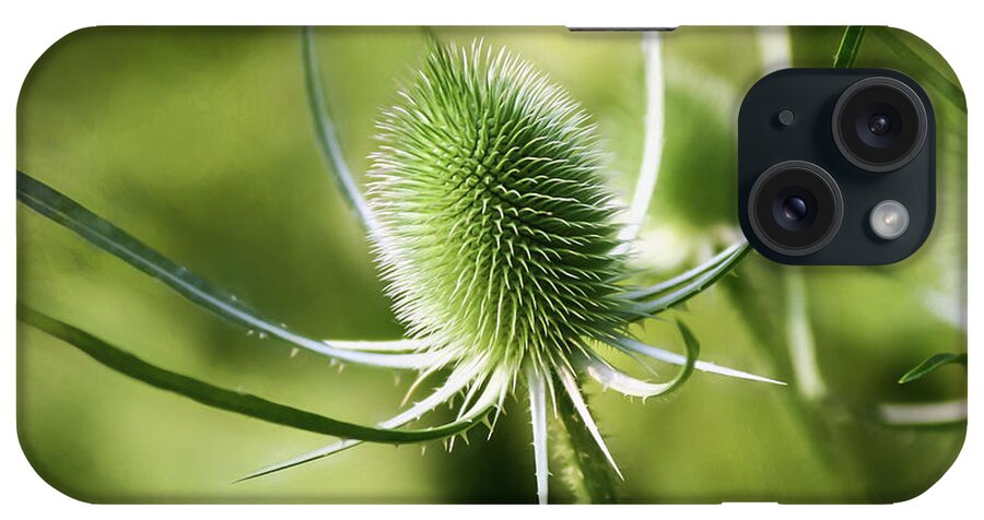Wonderful Teasel iPhone Case featuring the photograph Wonderful Teasel 2 - by Julie Weber