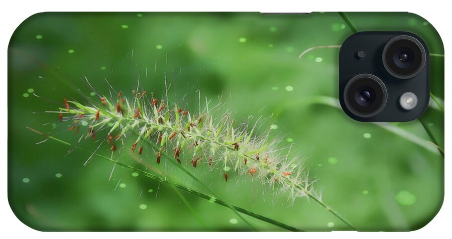 Nature iPhone Case featuring the photograph Sprinkles Of Nature by Reese Lewis