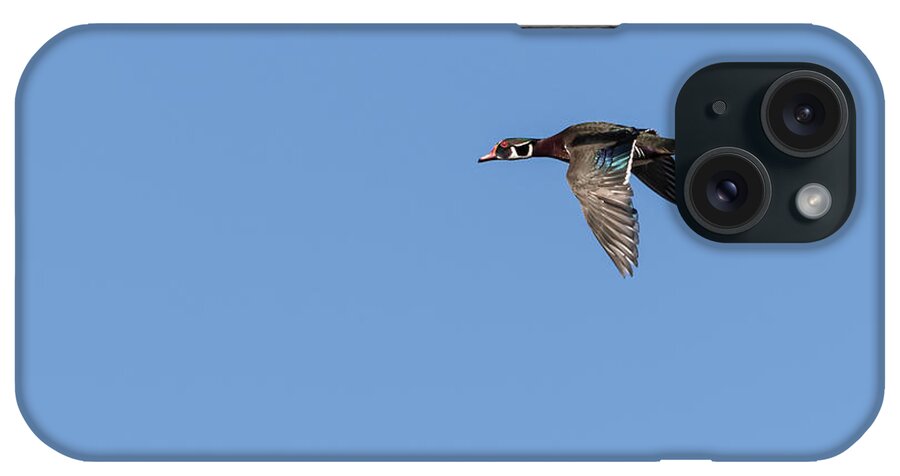 Wood Duck iPhone Case featuring the photograph Wood Duck 2017-1 by Thomas Young