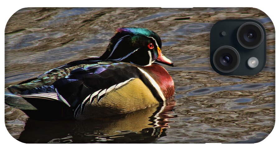 Duck iPhone Case featuring the photograph Wood Duck Beauty by Steven Parker