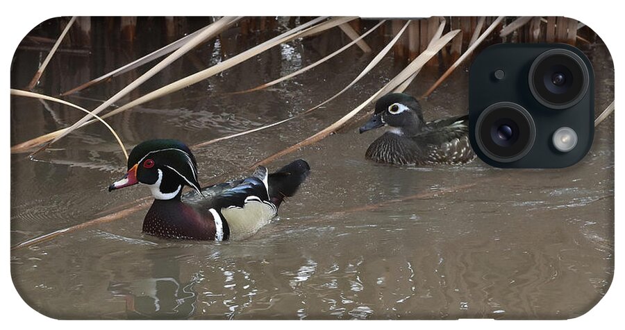 Wood Duck iPhone Case featuring the photograph Wood Duck Pair by Ben Foster