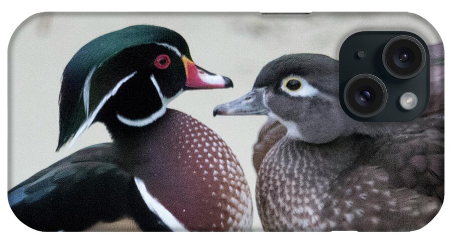 Wood Duck iPhone Case featuring the photograph Wood Duck Pair in Love by Jack Nevitt