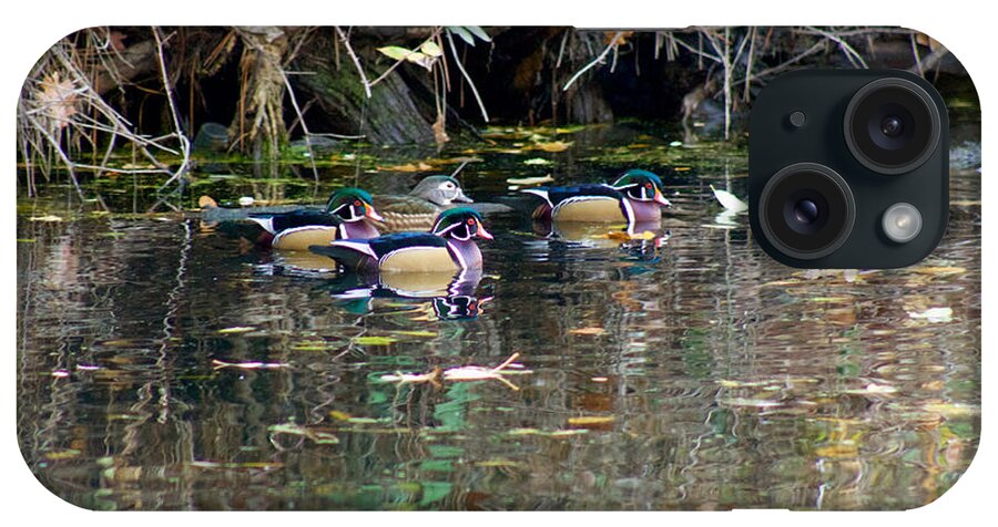 Photography iPhone Case featuring the photograph Wood Ducks in Autumn by Sean Griffin