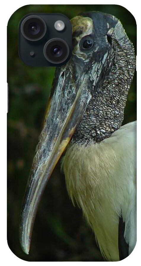 Bird iPhone Case featuring the photograph Wood Stork portrait by Carl Moore