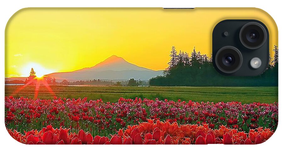 Landscape iPhone Case featuring the photograph Wooden Shoe Tulip Fields Sunrise by Steve Warnstaff