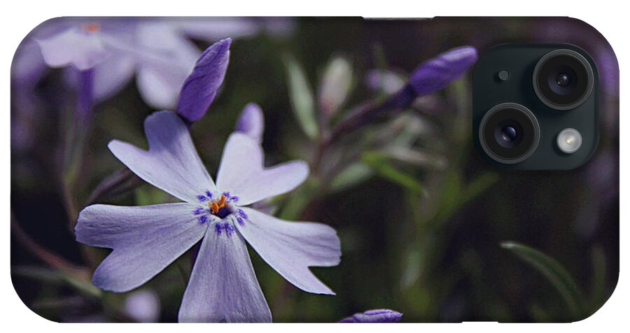 Phlox iPhone Case featuring the photograph Woodland Phlox by Jessica Brawley