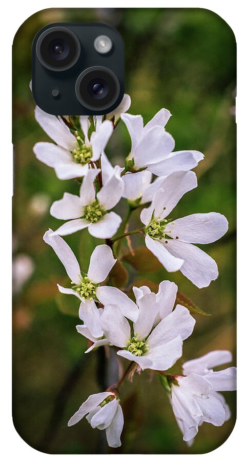 Wildflower iPhone Case featuring the photograph Woodland Whites by Bill Pevlor