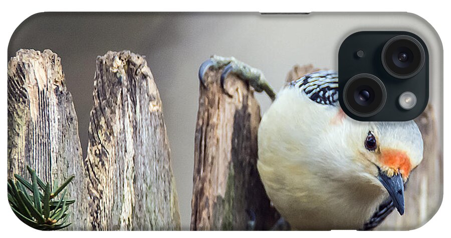 Bird iPhone Case featuring the photograph Woodpecker 0837 by Cathy Kovarik