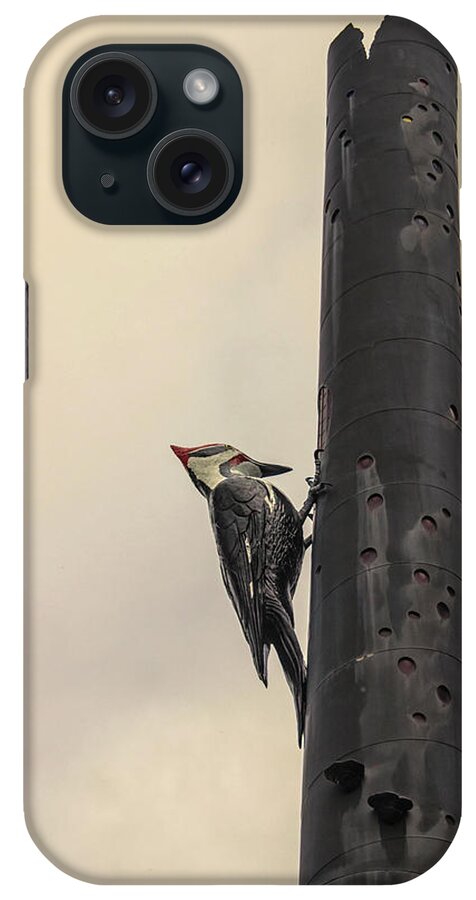 Woodpecker iPhone Case featuring the photograph Woodpecker by Martin Newman
