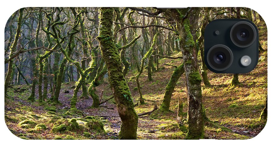 Exmoor iPhone Case featuring the photograph Woods near Badgeworthy Water Exmoor by Pete Hemington