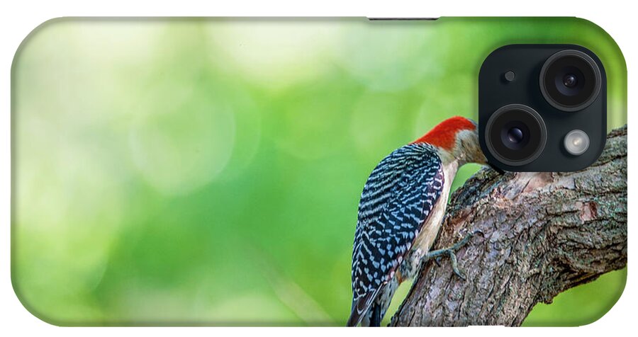 Bird iPhone Case featuring the photograph Woody by Cathy Kovarik