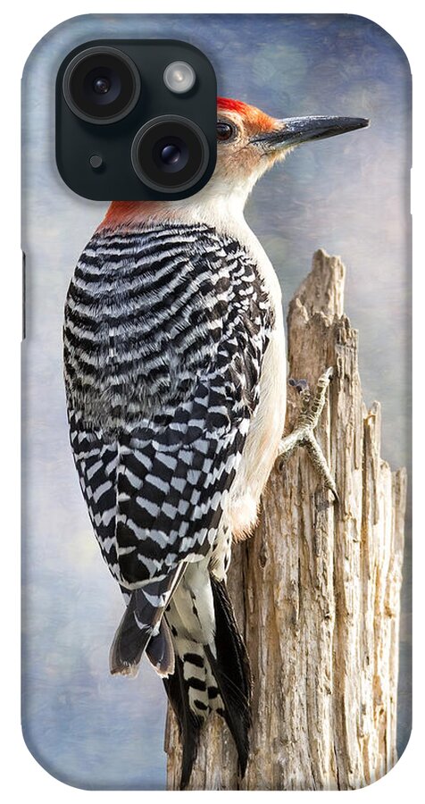 Red-bellied Woodpecker iPhone Case featuring the photograph Woody Climbing Pastel Bokeh by Bill and Linda Tiepelman