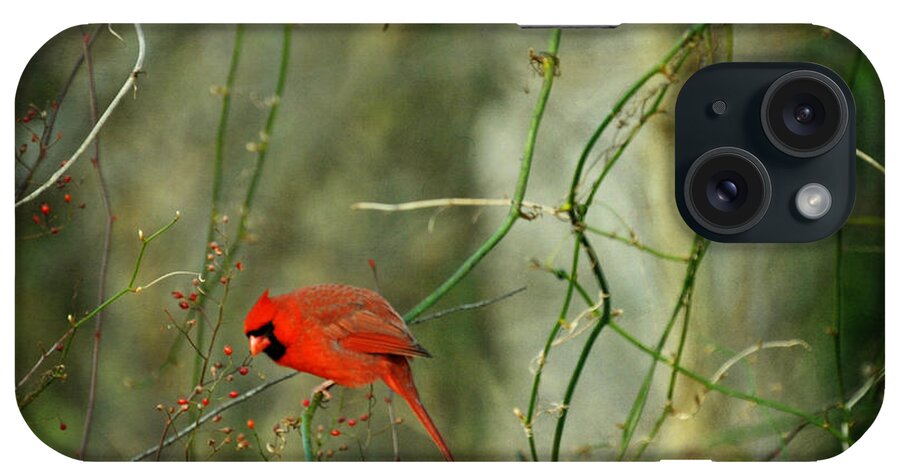 Northern Cardinal iPhone Case featuring the photograph World of Fire and Dew by Rebecca Sherman