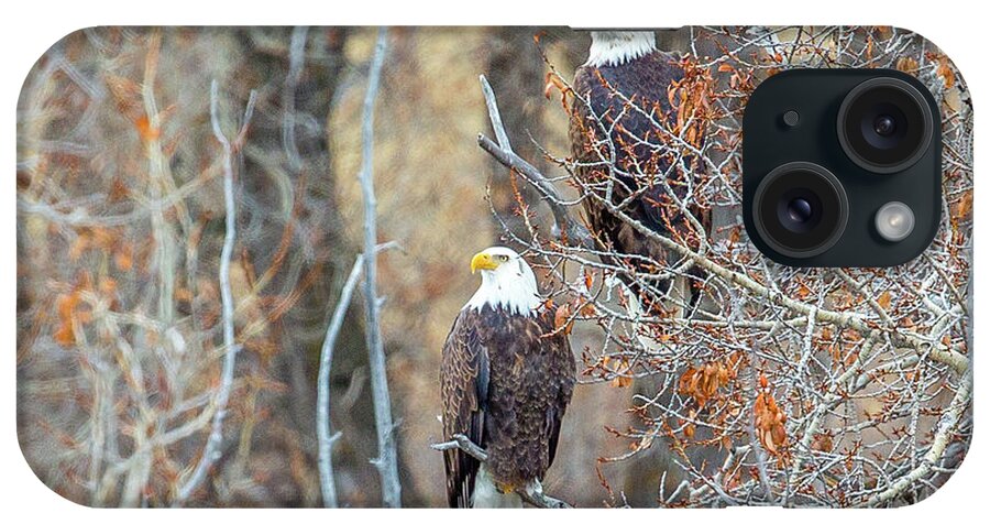 Eagle iPhone Case featuring the photograph Yampa Couple by Kevin Dietrich