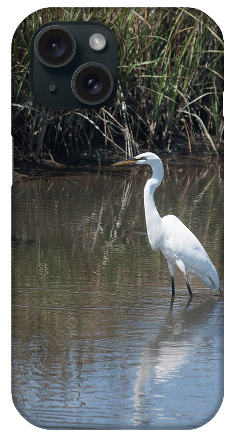 Photograph iPhone Case featuring the photograph Yawkey Wildlife Refuge - Great White Egret II by Suzanne Gaff