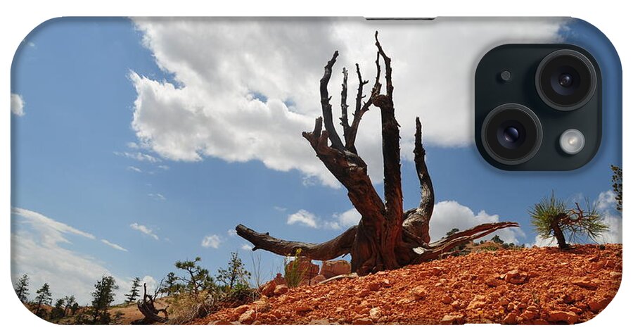 Tree iPhone Case featuring the photograph Yearning by Stevyn Llewellyn