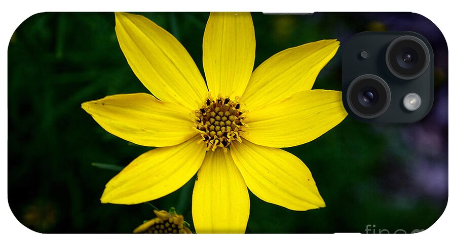 Adrian Laroque iPhone Case featuring the photograph Yellow by LR Photography