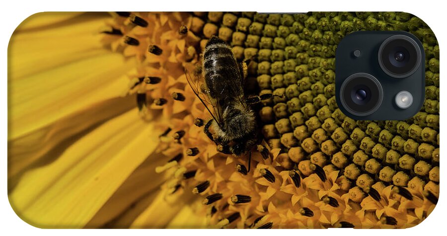 Winterpacht iPhone Case featuring the photograph Yellow and Black by Miguel Winterpacht