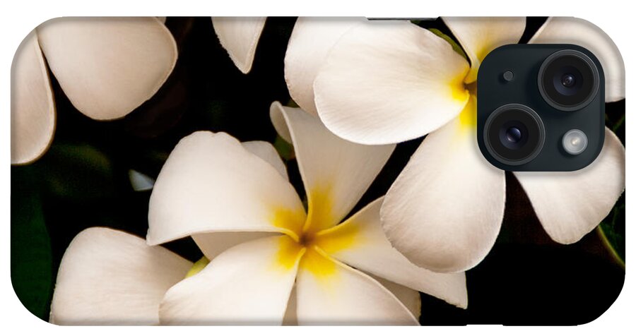 Yellow And White Plumeria Flower Frangipani iPhone Case featuring the photograph Yellow and White Plumeria by Brian Harig
