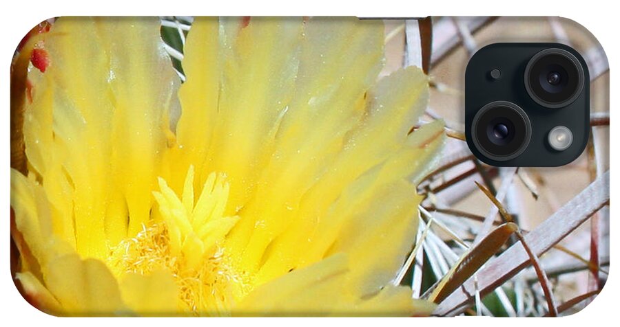 Wall Art iPhone Case featuring the photograph Yellow Barrel Cactus Flower by Kelly Holm