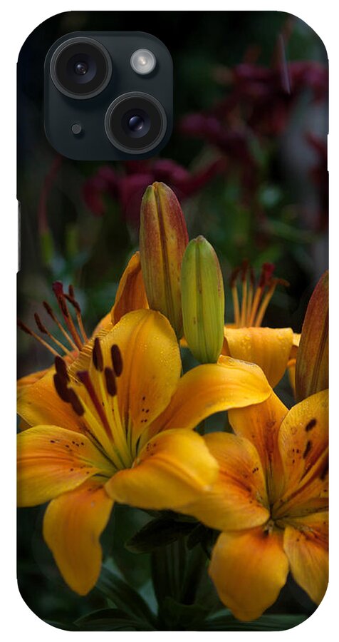 Yellow iPhone Case featuring the photograph Yellow Beauties by Cherie Duran