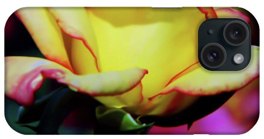 Rose iPhone Case featuring the photograph Yellow Beauty by D Hackett