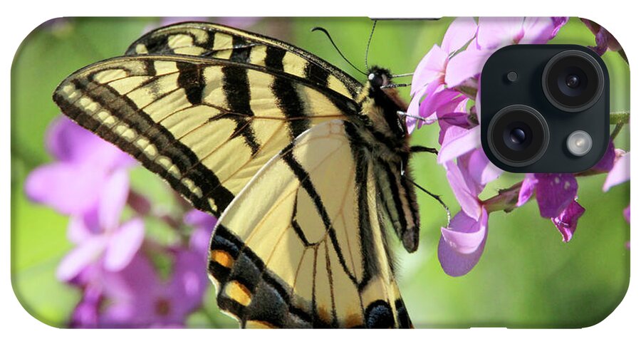 Nature iPhone Case featuring the photograph Yellow Butterfly by David Stasiak