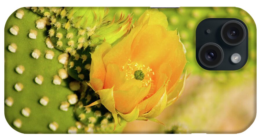 Flowers iPhone Case featuring the photograph Yellow Cactus Flower by Bill Barber