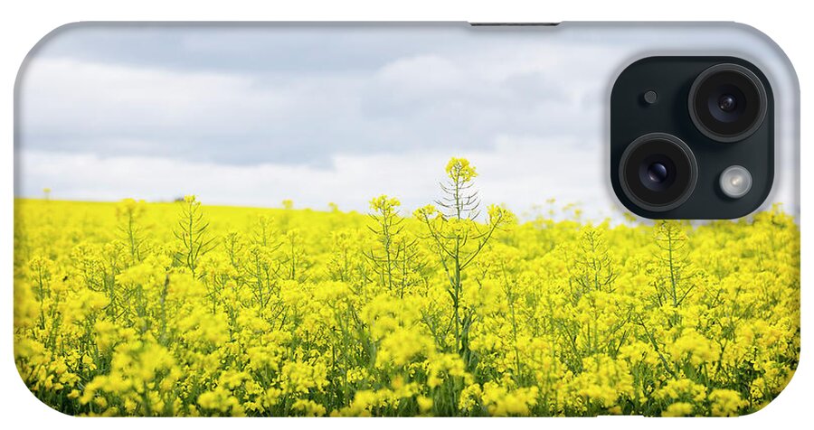 Australia Photography iPhone Case featuring the photograph Yellow canopies by Ivy Ho
