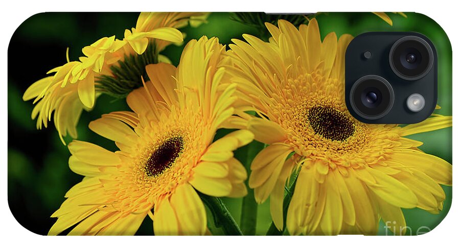 Yellow Gerbera Daisies iPhone Case featuring the photograph Yellow Chrysanthemums by Kaye Menner by Kaye Menner
