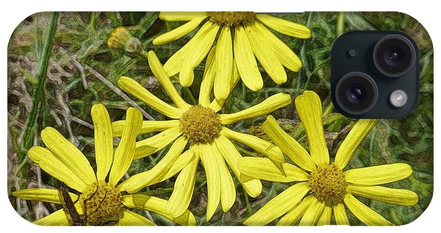 Beautiful iPhone Case featuring the photograph Yellow Daisies 1 by Jean Bernard Roussilhe