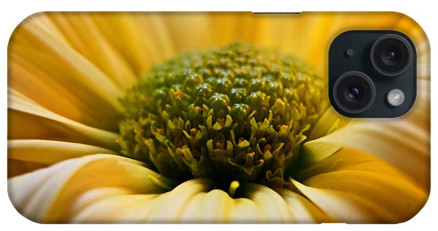 Wall Art iPhone Case featuring the photograph Yellow Daisy by Kelly Holm