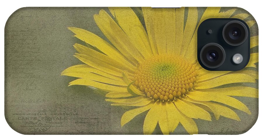 Daisy iPhone Case featuring the photograph Yellow Daisy by Rebecca Cozart