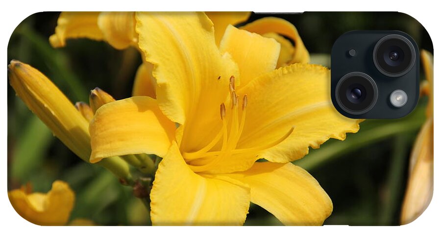 Lily iPhone Case featuring the photograph Yellow Daylily by Allen Nice-Webb