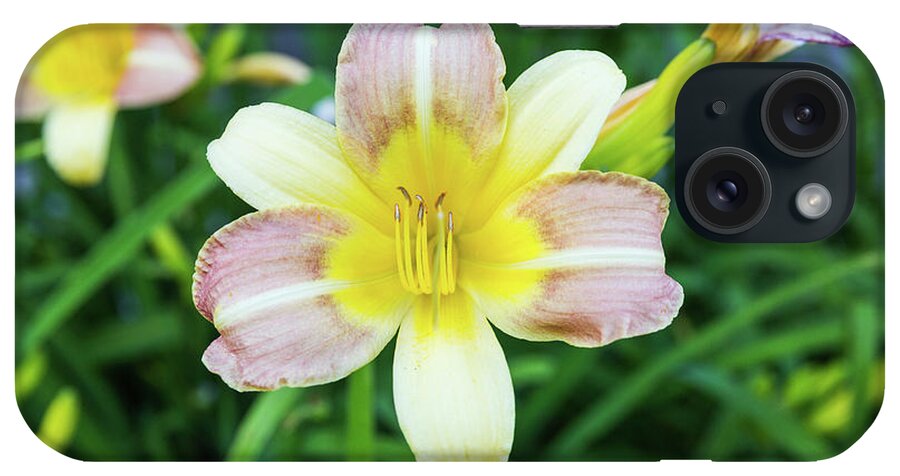 Daylily iPhone Case featuring the photograph Yellow Daylily by D K Wall