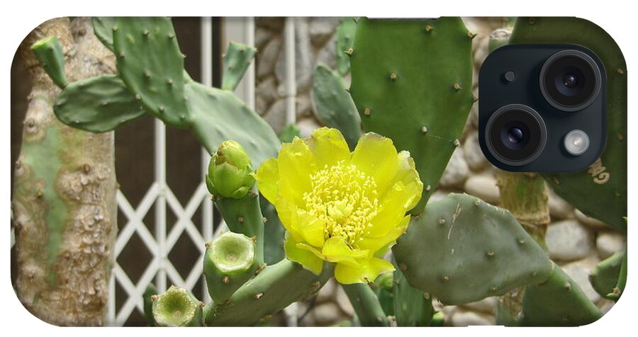 Gardens iPhone Case featuring the photograph Yellow Flower Cactus by Donna L Munro