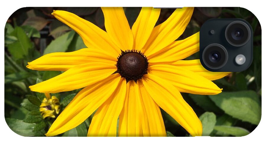 Yellow iPhone Case featuring the photograph Yellow Flower by Erick Schmidt