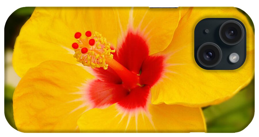 Hibiscus iPhone Case featuring the photograph Yellow Hibiscus by Mike McGlothlen